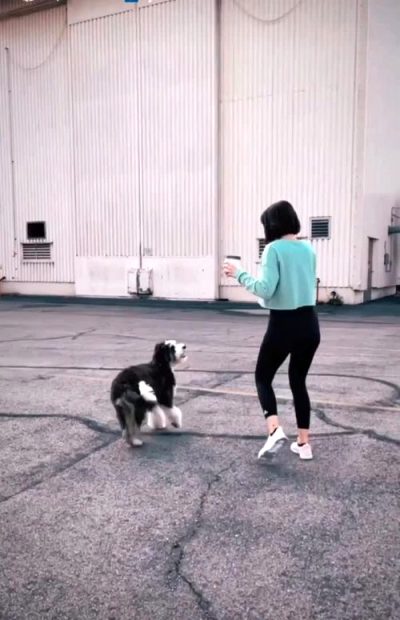 Ana De Armas Playing With Puppy