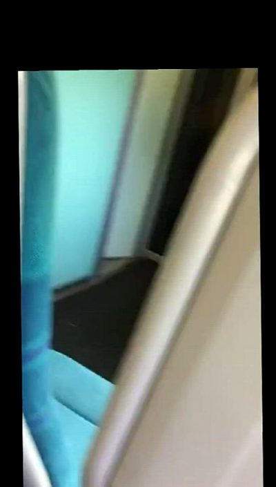 Risky Flash On The Train